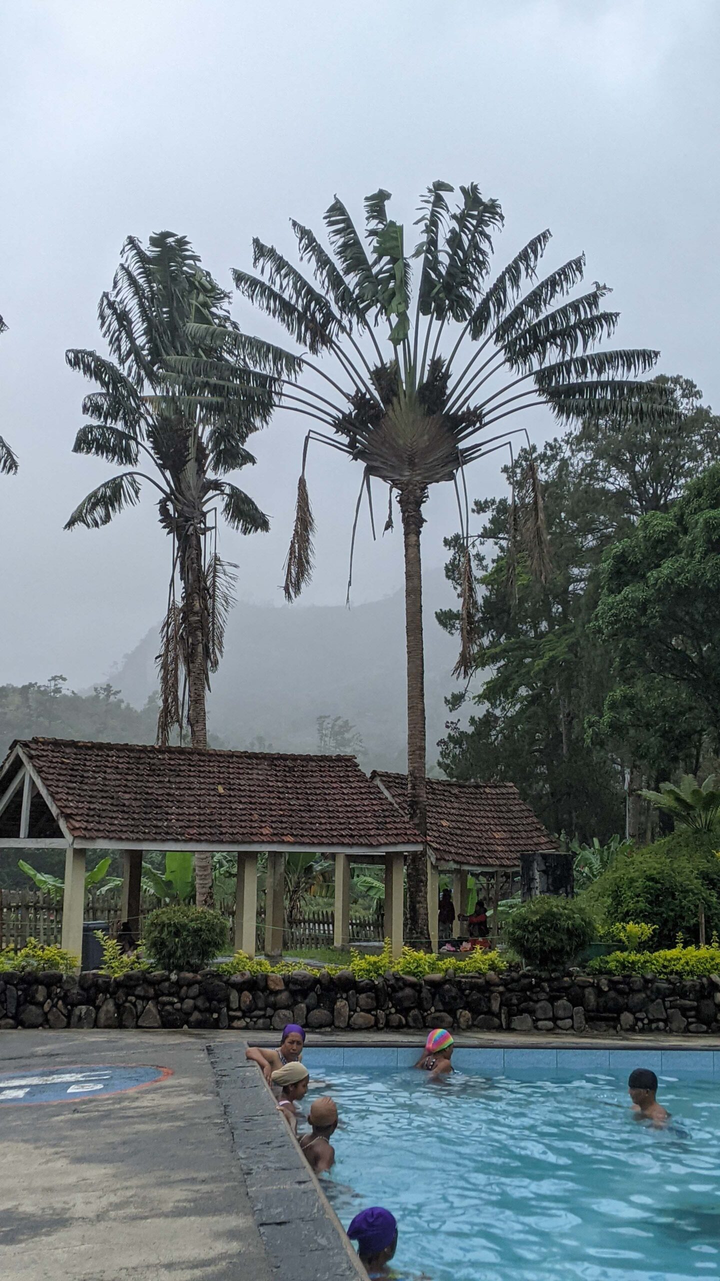 Ranomafana