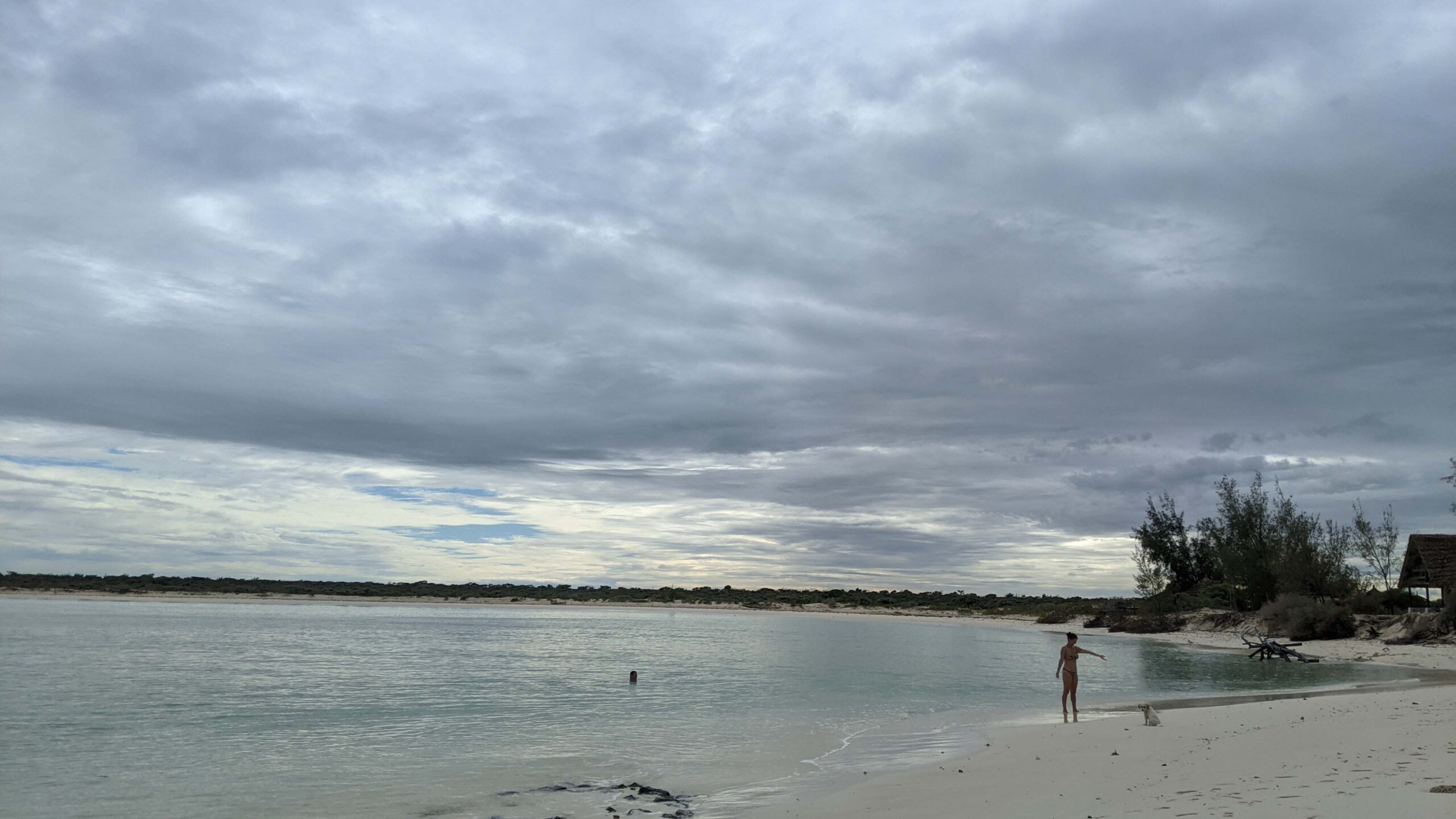 Salary Bay
